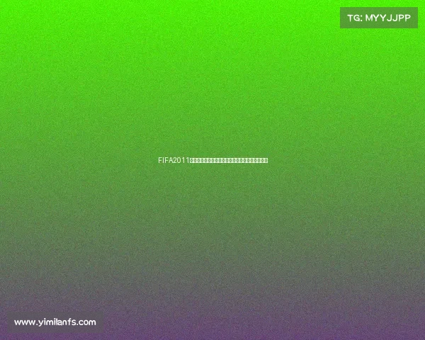 FIFA2011世界杯中文版游戏全攻略与精彩赛事体验指南合集
